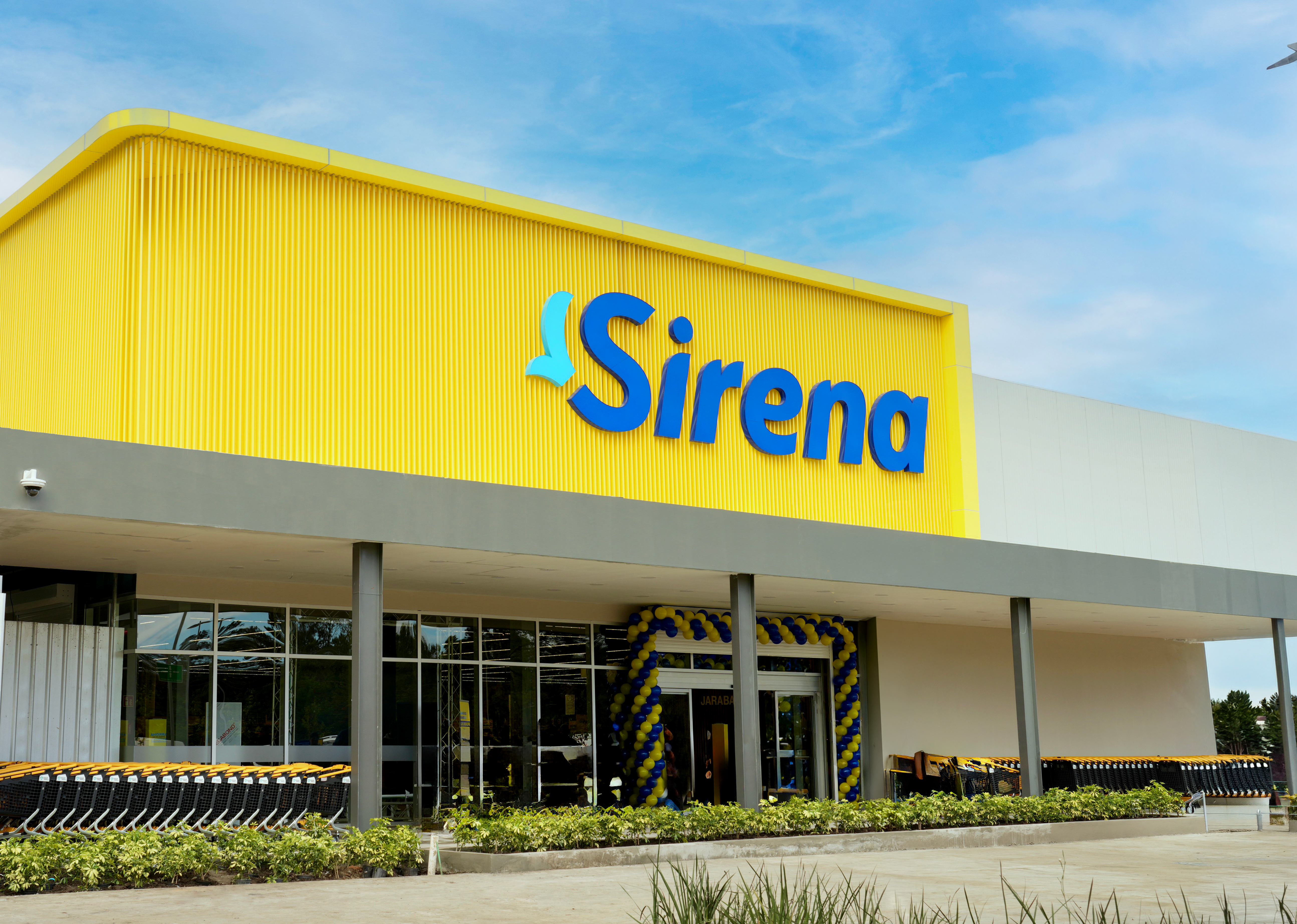 Sirena